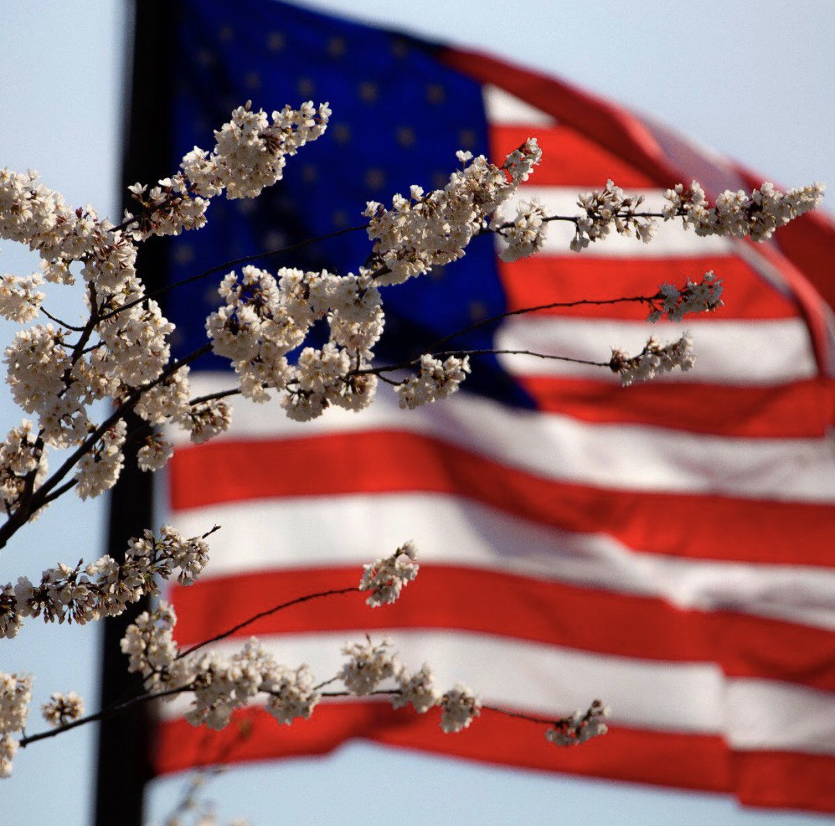 FlyViaAir's tweet image. "A hero is someone who has given his or her life to something bigger than onself." - Joseph Campbell 

🦅 Today reflect on the courage of the brave men and women who gave it all for freedom.

#MemorialDay #MemorialDayWeekend #Veterans #ThankAVeteran