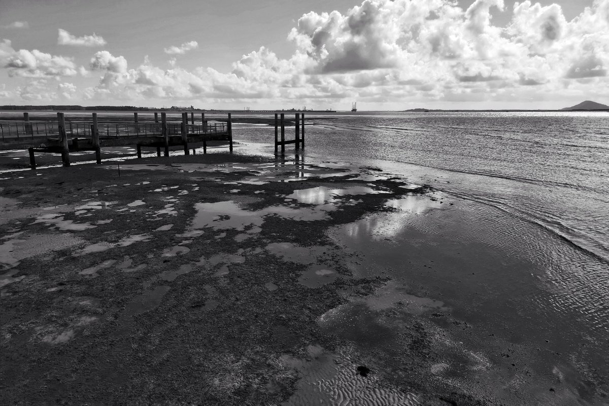 LoveMirrorless's tweet photo. #chekjawa, a secret wonderland hidden from the mainland #Singapore. A natural wetland fill with rich marine ecosystem located on the eastern tip of Pulau Ubin. #photographie #photoofthenight https://t.co/4AajNBtPfg