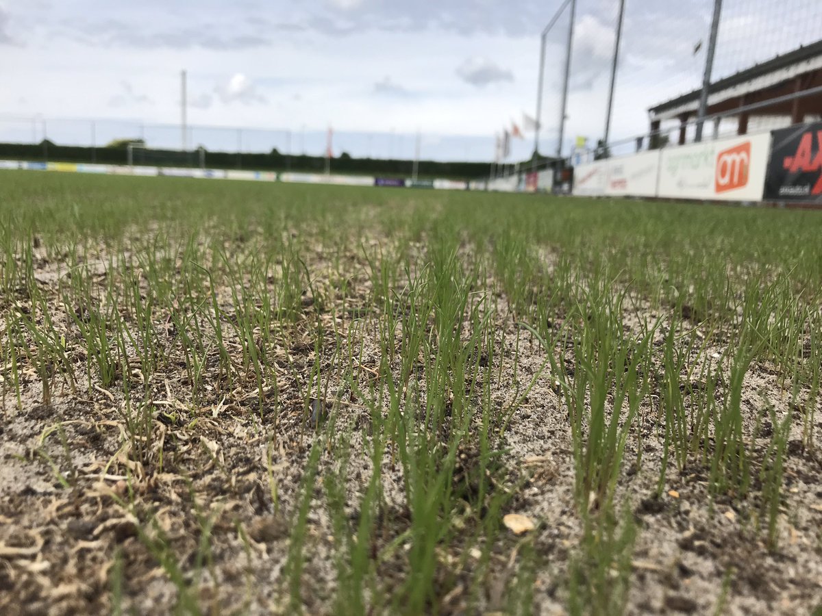 10 dagen na inzaai staat het Engels raaigras al volop eruit. Met het  <a href="/AdvantaNL/">Advanta</a> DDS concept gezaaid is het wachten op de veldbeemd zaadjes 🌱🌱. Met de #lentemix van <a href="/iperen_nl/">Van Iperen</a> erover gaan we voor 🏆🥇#natuurgras
