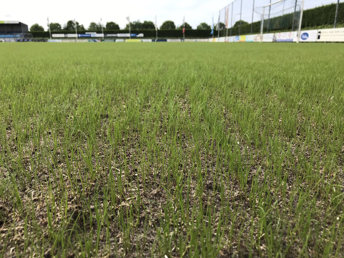 Bart Boot tweet media