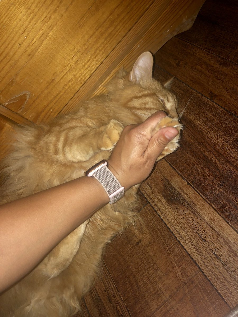 Me: (should have left 5 minutes ago)
Also me: toe beans