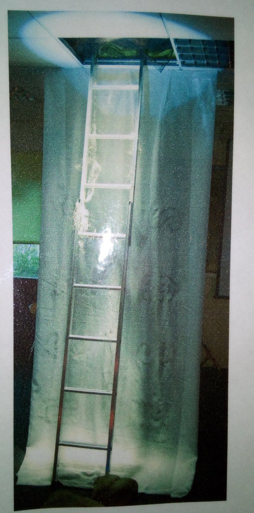 Mid- teaching series '07 - the portal of Jacob's angelic visitation. At a crisis in his life (and mine) floods of the Rr Don swirled round the foot of this ladder & swept off 6 yrs #reinvention #re-orientation #re-emergence
#writerstell #writersshow #storieslive #writerslife