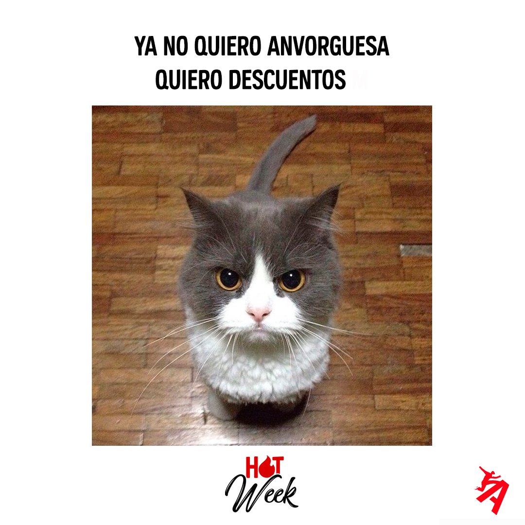 Comenta con el hashtag #HotWeek si te sumas a la petición del gatito #FelizLunes
