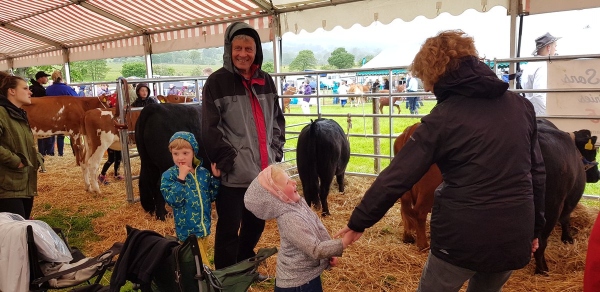 LoobyGoose's tweet photo. Great Harwood Show was a bit of a wash-out but we persevered and made the most of it. #GrtHarwoodShow #massivebulls #wetpants https://t.co/TcnejPWnl6
