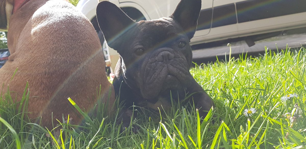 Lukeee_420's tweet photo. Peanut!!😍 https://t.co/KtQ44VPM4S