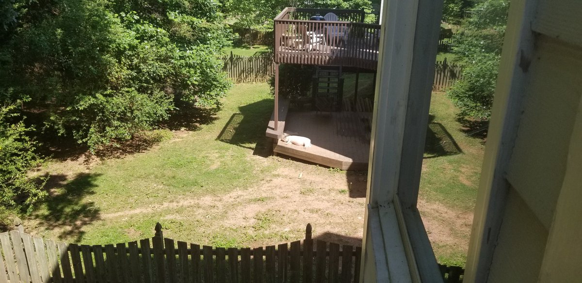 27. My neighbor is doing a little nude sunbathing.pic.twitter.com/vf2IQLYAz...