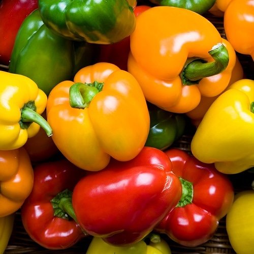 loisrootsscafe's tweet photo. Which bell pepper is healthiest?

Red peppers pack the most nutrition, because they've been on the vine longest. Green peppers are harvested earlier, before they have a chance to turn yellow, orange, and then red. Compared to green bell peppers, https://t.co/BODIAaQAJr