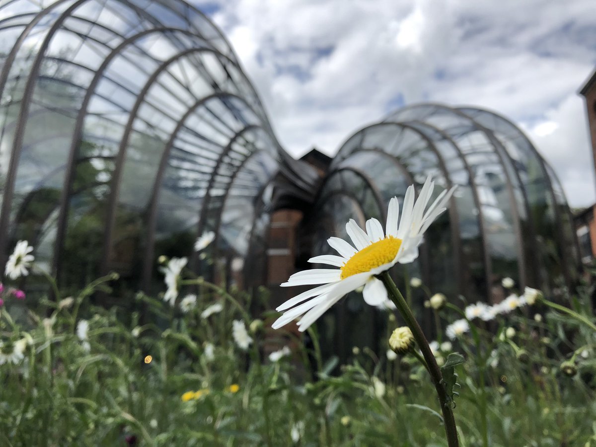 pointless_title's tweet image. Just @homeofbombay with @_spacebits. Really enjoyed the tour and the mock tail after. Great to see the company not only thinking about their great product but also nature and the environment #bombaydistillery
