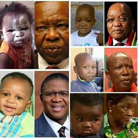 Gupta_wealth's tweet photo. #WatchuKnowAboutMzansi 

New look  #ThumaMina #CabinetAppointment 's are imminent. https://t.co/WSU7MSj3IX