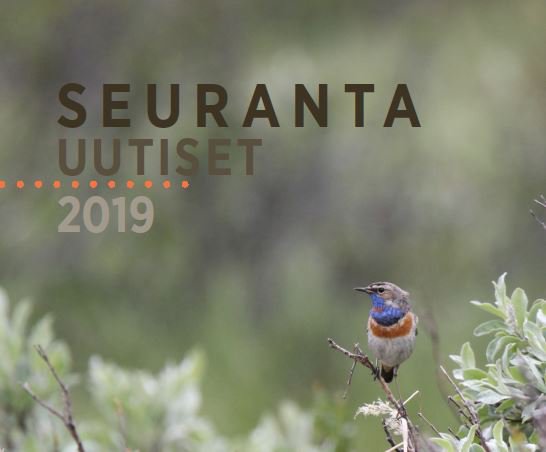 Heidi Björklund 🌻 tweet media