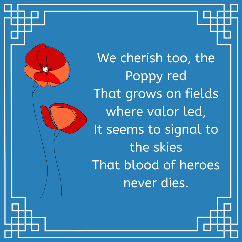 Lukerproperties's tweet photo. Happy #MemorialDay🇺🇸
Are you wondering the significance of red poppies? Read this article to find out! 
https://t.co/dJ1mTQg4bE https://t.co/oDRU71I4dM