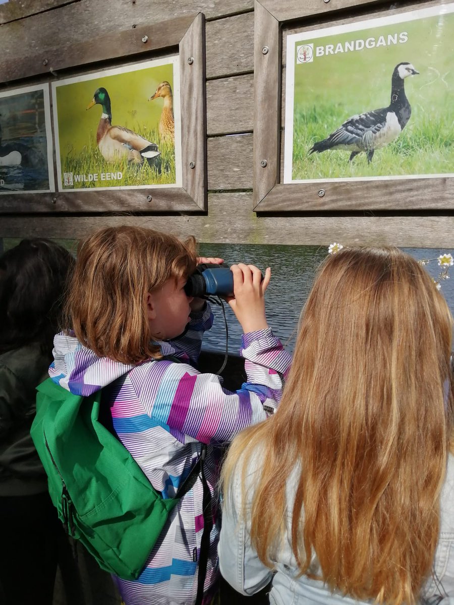Hoeksteen's tweet photo. Groep 5 naar het Prinsenbos

Wat een heerlijke, zonnige ochtend was het vandaag, een feestje om met groep 5 naar het Prinsenbos te gaan! De vogel excursie was leerzaam en leuk. We leerden over watervogels, roofvogels, zomergasten en wintergasten. Het was een top morgen! https://t.co/41AdL3RGax