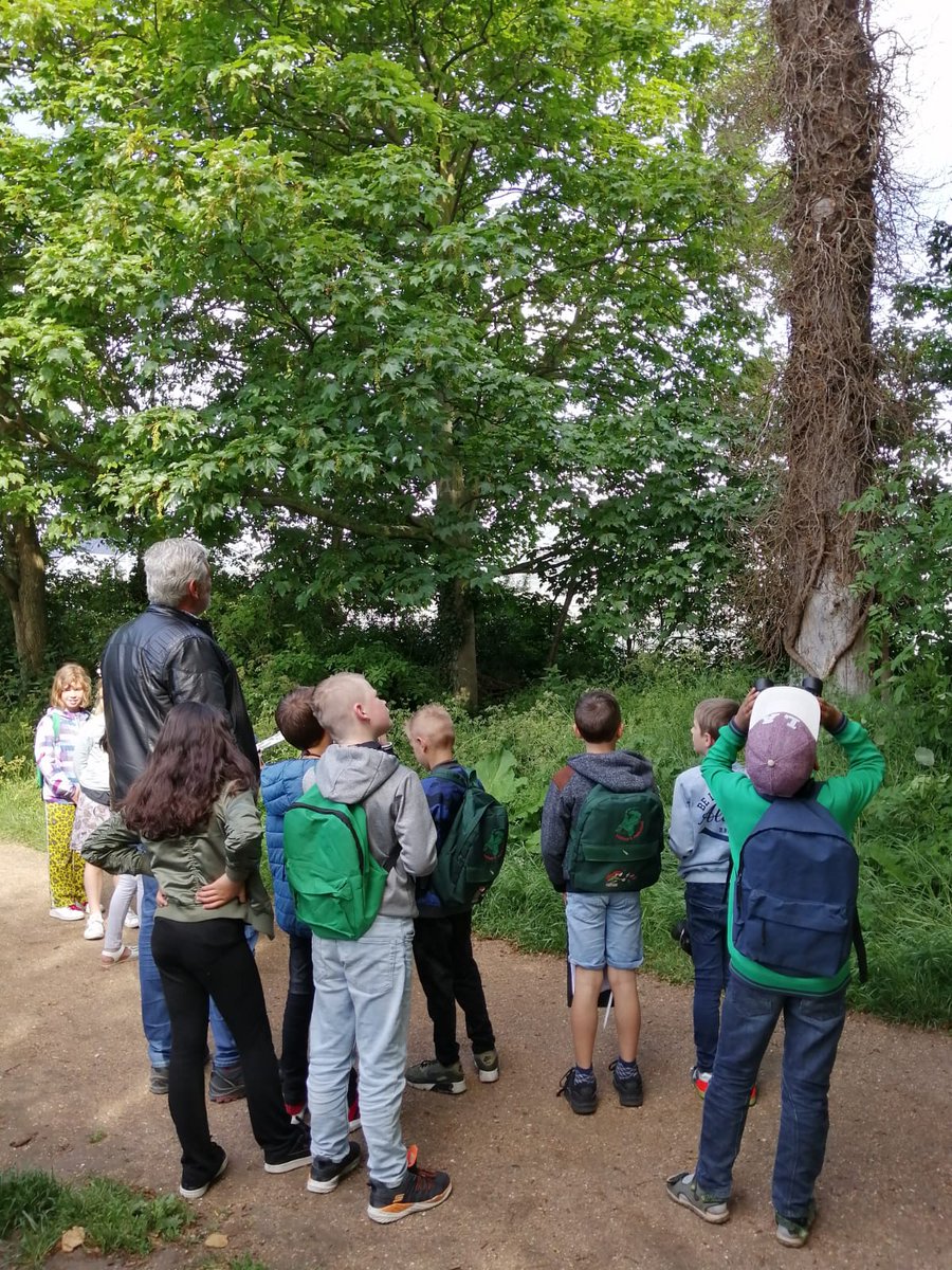 Hoeksteen's tweet photo. Groep 5 naar het Prinsenbos

Wat een heerlijke, zonnige ochtend was het vandaag, een feestje om met groep 5 naar het Prinsenbos te gaan! De vogel excursie was leerzaam en leuk. We leerden over watervogels, roofvogels, zomergasten en wintergasten. Het was een top morgen! https://t.co/41AdL3RGax
