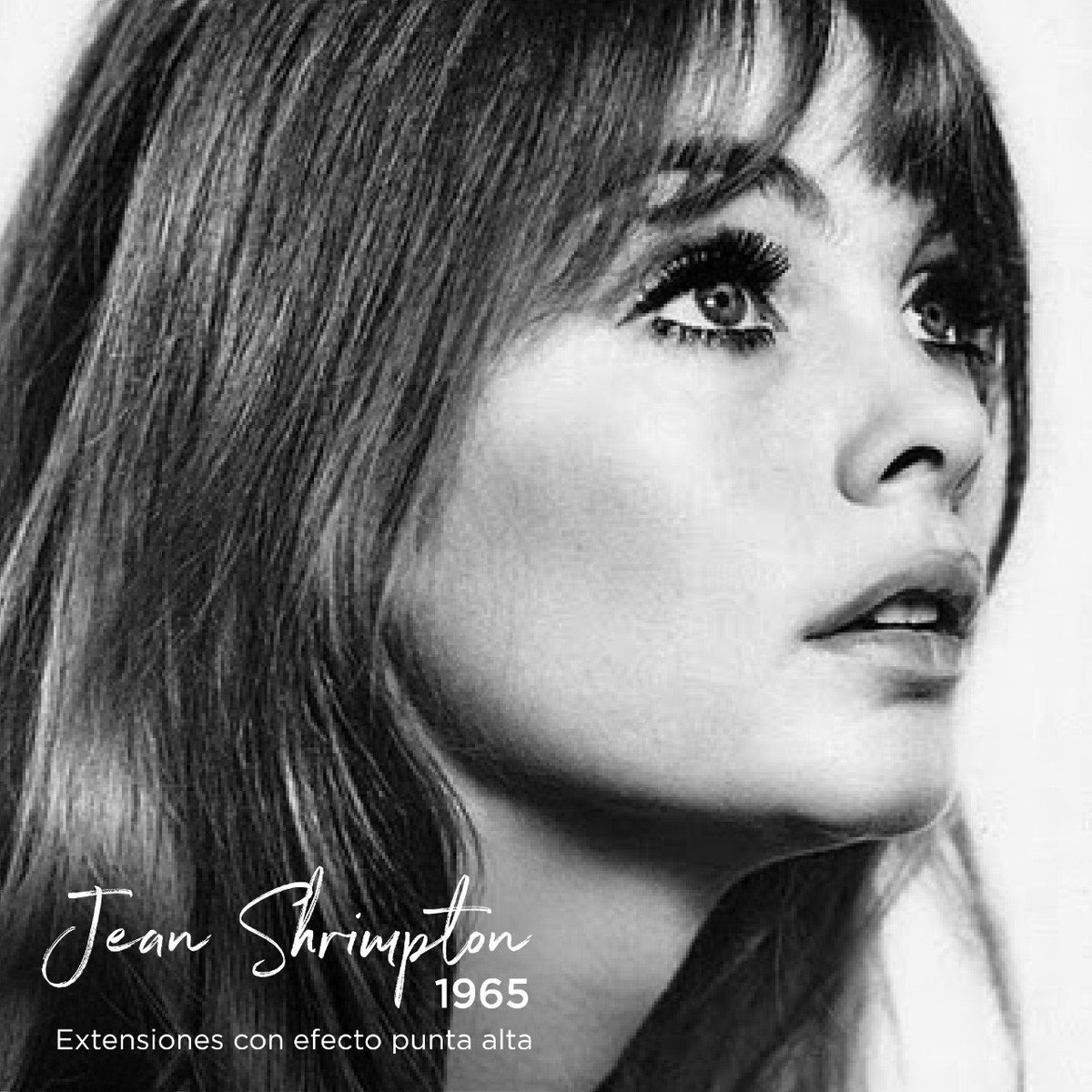 maxlashes's tweet photo. ¿Sabías que en los años 60's el look de ”punta alta” era el más popular entre las extensiones de pestañas? La supermodelo y actriz británica Jean Shrimpton comenzó con esta tendencia.

Encuentra las tendencias del siglo XXI en Max Lashes ➡ https://t.co/Vr0P06qkis https://t.co/zcdtZ0yjwq