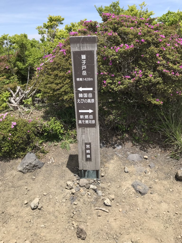 yukagoon's tweet photo. 5月25日と26日は宮崎、鹿児島に遠征登山して来ました。✌️25日はとても暑く高千穂峰 と矢岳の登山予定でしたが、矢岳の登山は水が足りなくなり断念しました。😂26日の獅子戸岳ではミヤマキリシマが綺麗に咲いていて、高千穂峰と新燃岳が綺麗におさまりました。 https://t.co/LRbH1VfEER