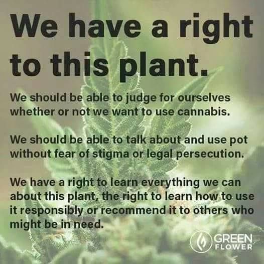HigherTimesII's tweet photo. What are Your Thoughts on This? https://t.co/Hi3epFzGOb https://t.co/E6L7uXAcyH