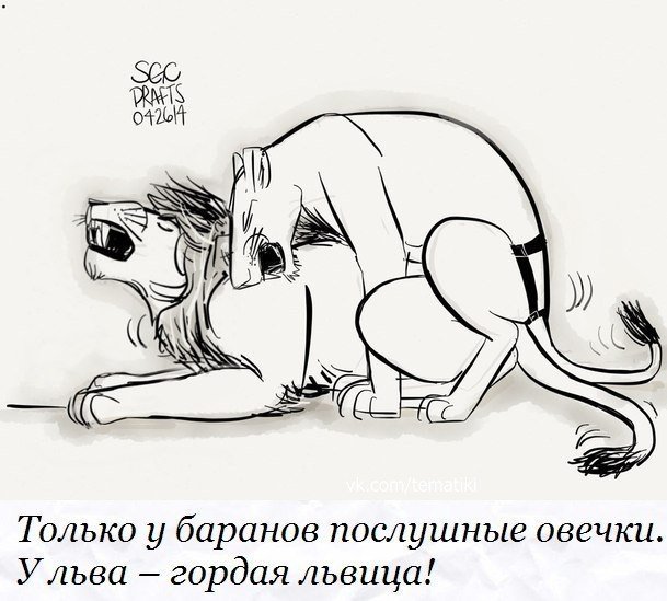 Peg me please - 🧡 Peg, You're it! 