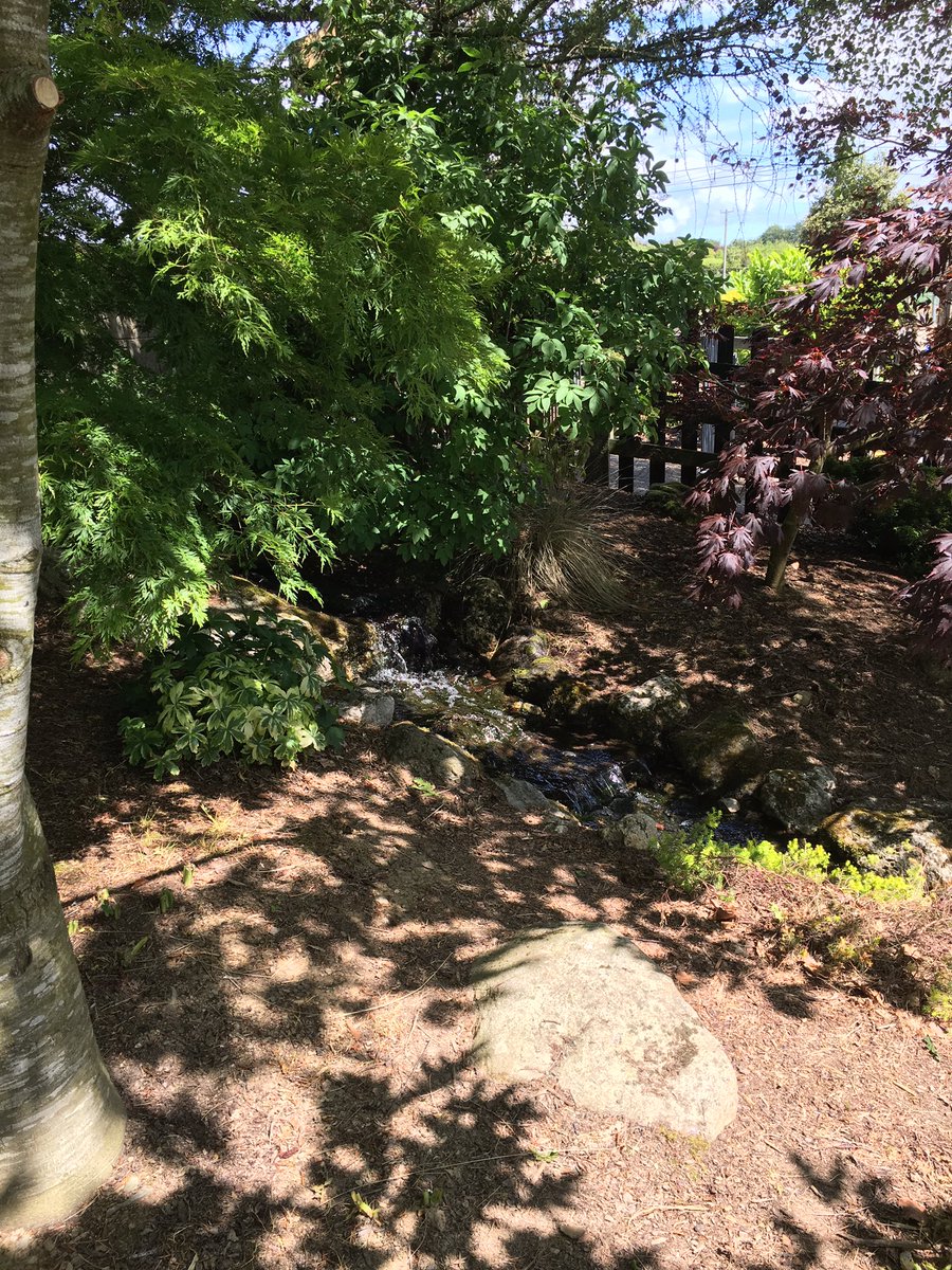 MrBrowne9's tweet photo. Today we learned about the importance of our school’s biodiversity and conducted an audit on species, habitats and ecosystems and how we can preserve and conserve them. Great collaborative research by everyone. Maith sibh! 👏🏻 https://t.co/b22oEKkDdg