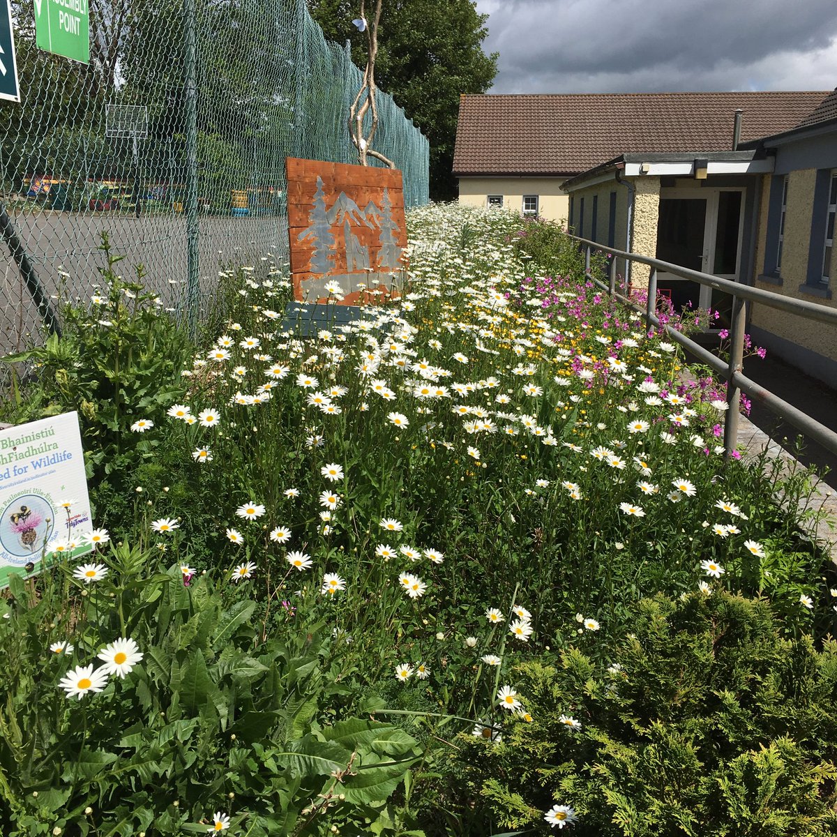 MrBrowne9's tweet photo. Today we learned about the importance of our school’s biodiversity and conducted an audit on species, habitats and ecosystems and how we can preserve and conserve them. Great collaborative research by everyone. Maith sibh! 👏🏻 https://t.co/b22oEKkDdg