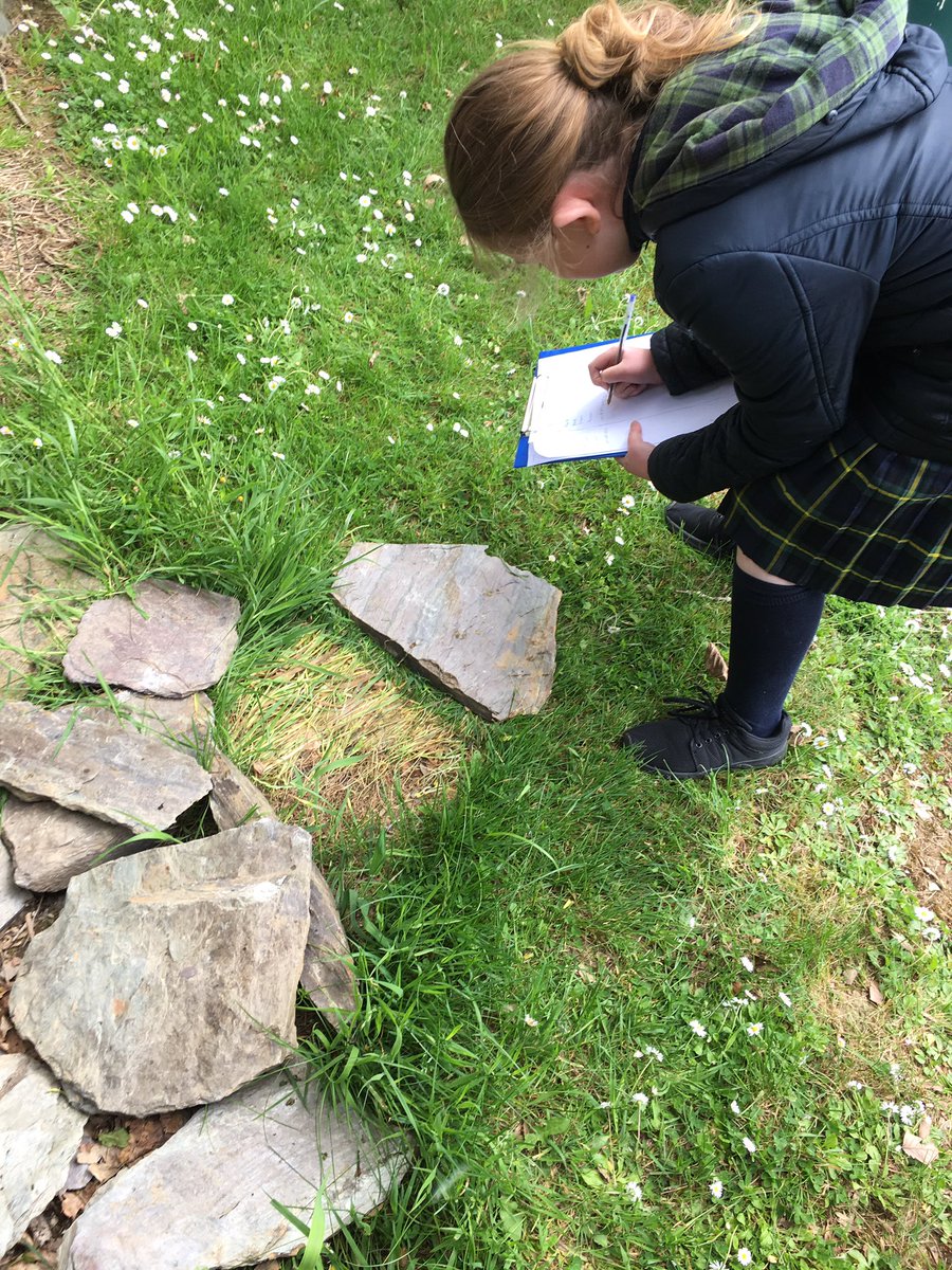 MrBrowne9's tweet photo. Today we learned about the importance of our school’s biodiversity and conducted an audit on species, habitats and ecosystems and how we can preserve and conserve them. Great collaborative research by everyone. Maith sibh! 👏🏻 https://t.co/b22oEKkDdg