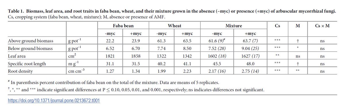 Positive impacts of #arbuscular #mycorrhizal #fungi on nutrient uptake, #N2fixation, N transfer, and growth in a #wheat/faba #bean #intercropping system. Inoculation with AMF increased N transfer bfrom #FabaBean to wheat by 20%. journals.plos.org/plosone/articl… vía @PLOSONE | @unipait