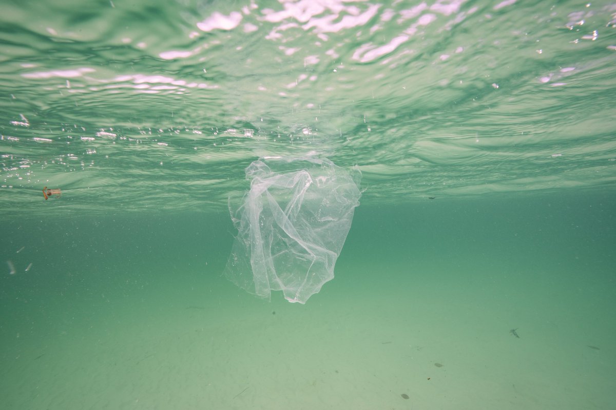 Sea_Legacy's tweet photo. New report shows that plastic is worsening #climatechange. Join us in #TurningTheTide on plastic, for our ocean and the planet’s future. Read the full report: https://t.co/P0UVfW8exS @ciel_tweets @EnviroIntegrity @FracTracker @GAIAnoburn @5gyres 📸 : @cmittermeier https://t.co/ehd9vO3sTZ