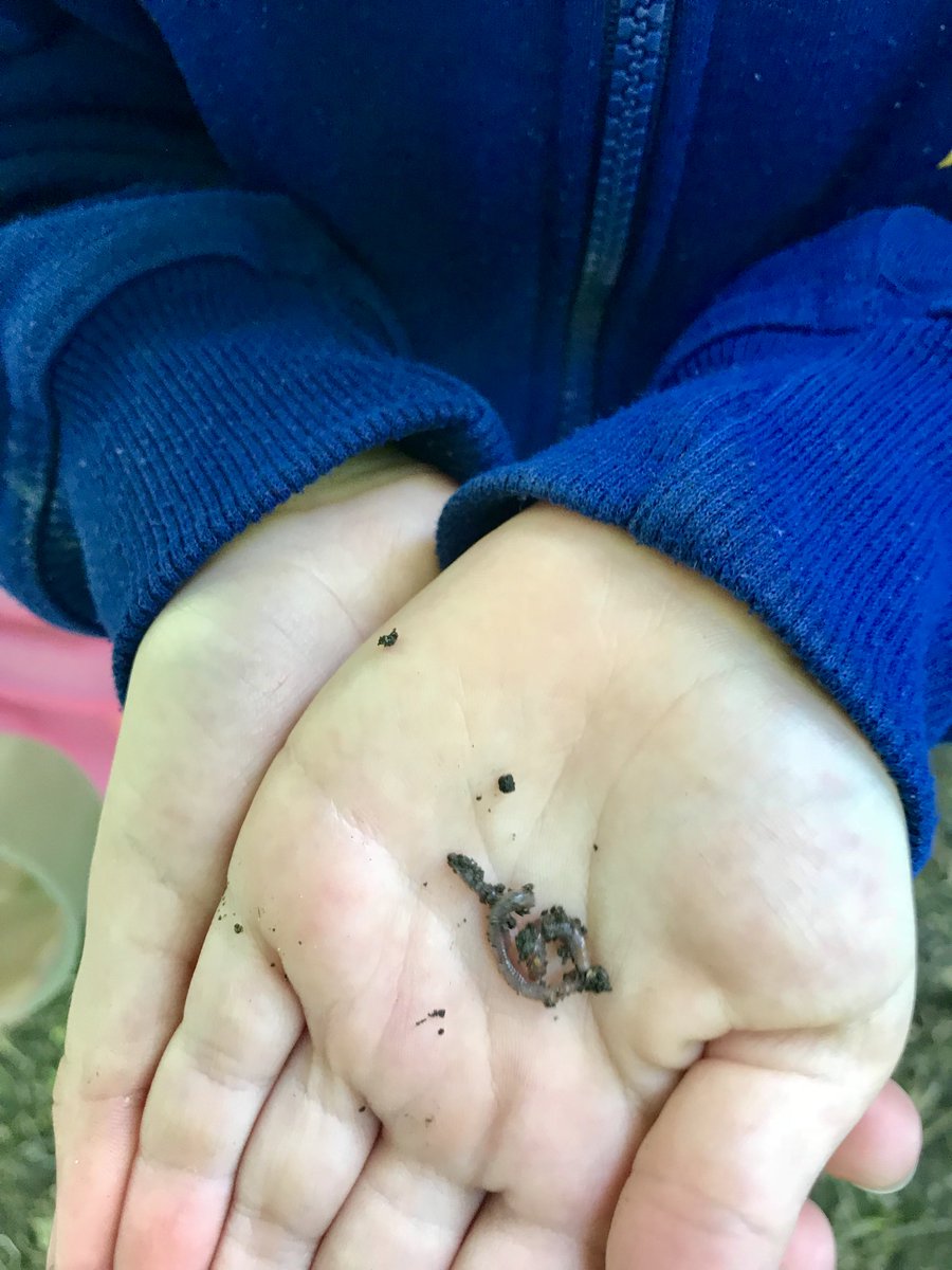WarrenParkOEC's tweet photo. We had so much fun this morning with a Kindergarten class from Howard PS! The play station program allowed them to bird watch, create nature art and engage in inquiry.  They investigated nature using magnifying glasses, measuring tapes, and more.   #oememories @TOES_TDSB https://t.co/21Q5i7JJaq