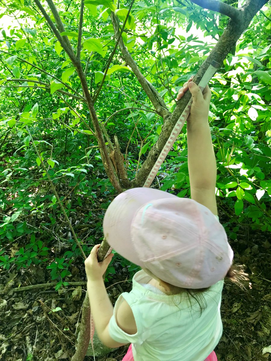 WarrenParkOEC's tweet photo. We had so much fun this morning with a Kindergarten class from Howard PS! The play station program allowed them to bird watch, create nature art and engage in inquiry.  They investigated nature using magnifying glasses, measuring tapes, and more.   #oememories @TOES_TDSB https://t.co/21Q5i7JJaq