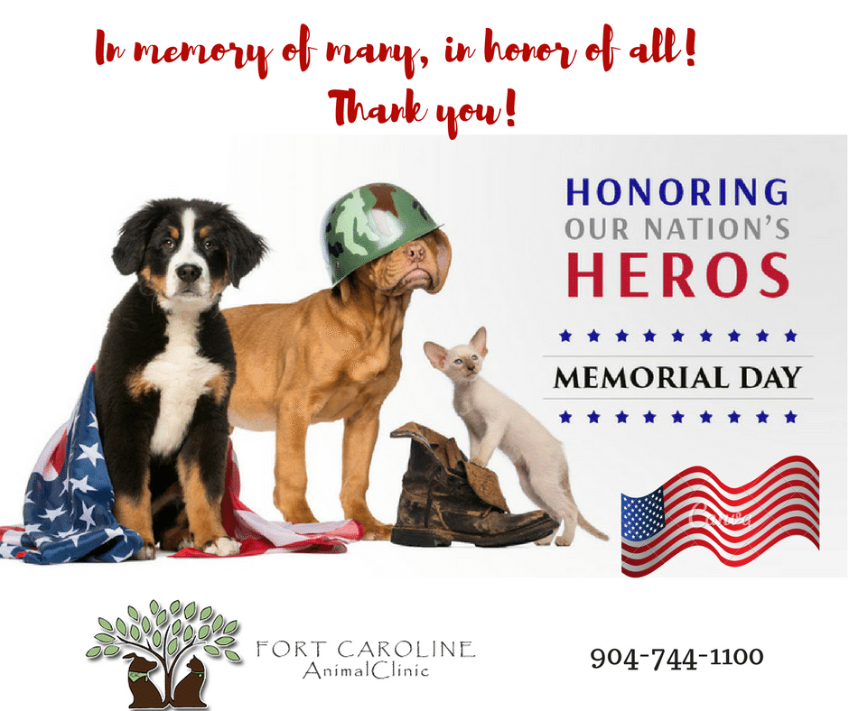 FCANIMALCLINIC's tweet photo. https://t.co/cRtpUI9WS6