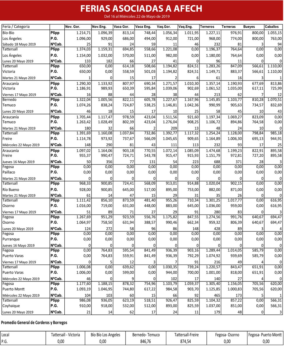 Estos son los precios del ganado en Chile, según datos de la AFECH, del 16 al 22 de mayo.