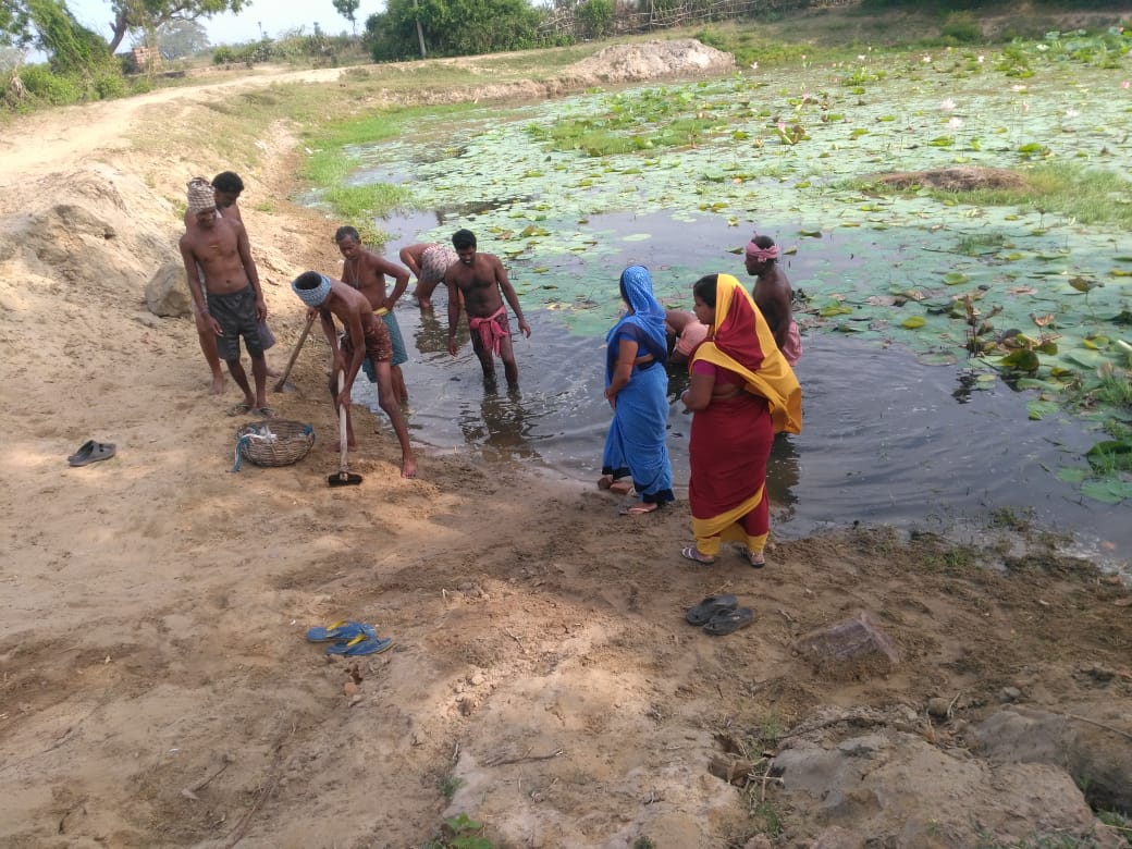 dm_puri's tweet photo. #PostFani Pond cleanliness drive carried out by GKS members in Krushnaprasad block, Puri district.
#RebuildOdisha #RebuildPuri https://t.co/DEATtoWRi1