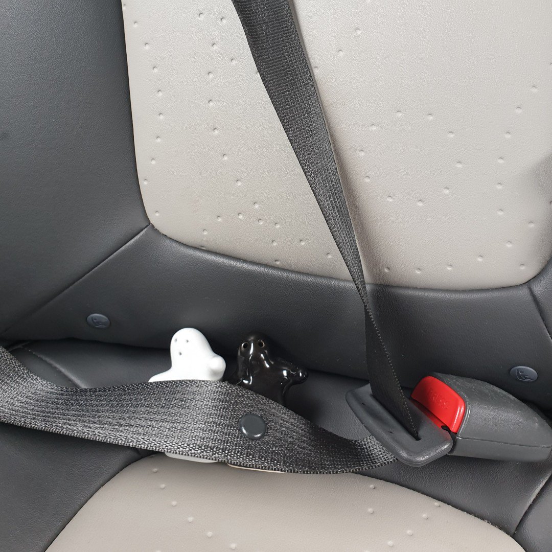 bruiloftsvideo's tweet photo. Zodadelijk onderweg naar IJsselstein om de bruiloftsplannen door te nemen, zodat we goed voorbereid kunnen filmen. #bruiloft #voorbereidingen #ijsselstein #leuk #safedriving https://t.co/p9uGUqmSnC