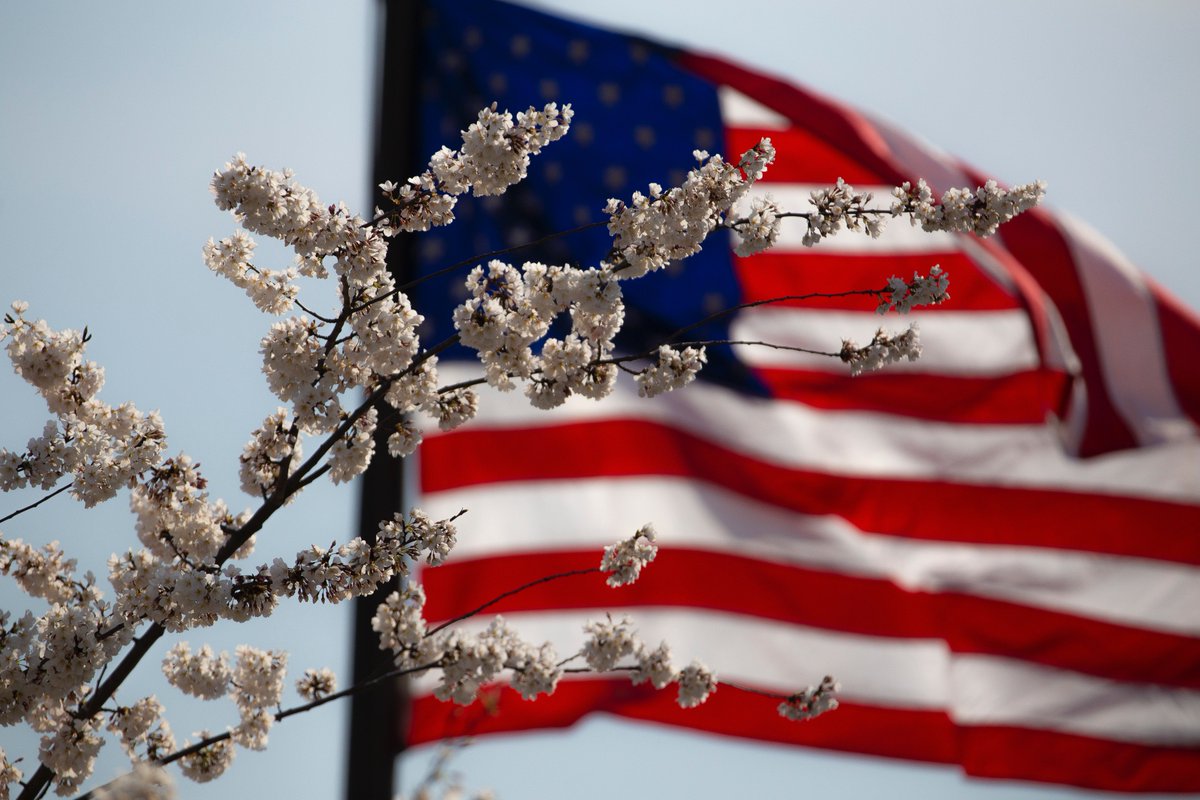 GenesisFairTrde's tweet photo. Have a safe Memorial Day everyone. Today we are remembering those that served and paid the ultimate sacrifice. #ThankYouForYourService https://t.co/u6o34ujMw0