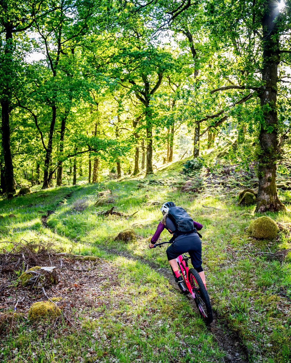 One of my favourite stretches of trail, especially when everything turns green! 😍🌿🌳 #HeyLetsGo <a href="/HydroFlask/">Hydro Flask</a>
