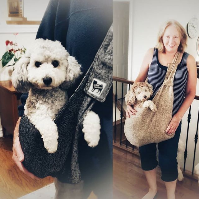 larueoriginal's tweet photo. Two cuddle happy poodles enjoying our custom made pet sling ❤️. We love customer photos 🤗 @larueoriginal #petsling #petcarrier #lovemydog #seniordogsrule #handmadedog #customdog #shopetsy #shophandmade #supportetsyshops #supportsmallbusiness #babysli… https://t.co/srFfHJOB8O https://t.co/rBtsj4wMSv