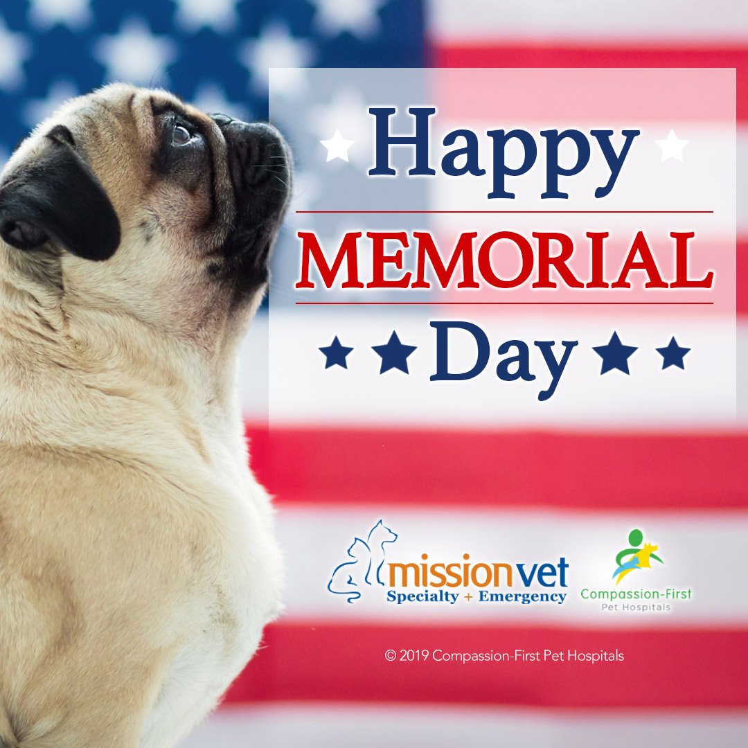 To all those who paid the ultimate sacrifice - we remember and we are thankful. #MemorialDay 🇺🇲