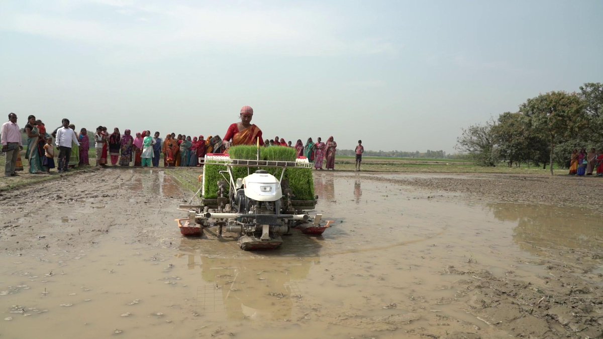 CIMMYT's tweet photo. Watch the #WestBengal story to learn how the #SRFSI project scales out climate-smart conservation agriculture practices across the region: https://t.co/afgvJgUq1H

#conservationag @ACIARAustralia @CSIROnews @iDEorg @icarindia @UQ_News @uwanews @CGIAR https://t.co/jeFtHtxV8k