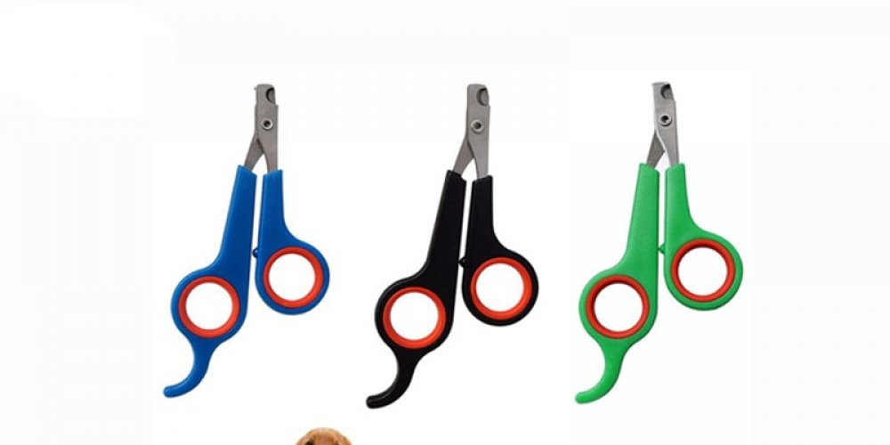 WebstersReview's tweet photo. #health #beauty #makeup #popular #flashdeals #rings Portable Stainless Steel Pet Grooming Nail Trimmer clippers https://t.co/nhHpZe8mct https://t.co/DS66Yn6SvJ