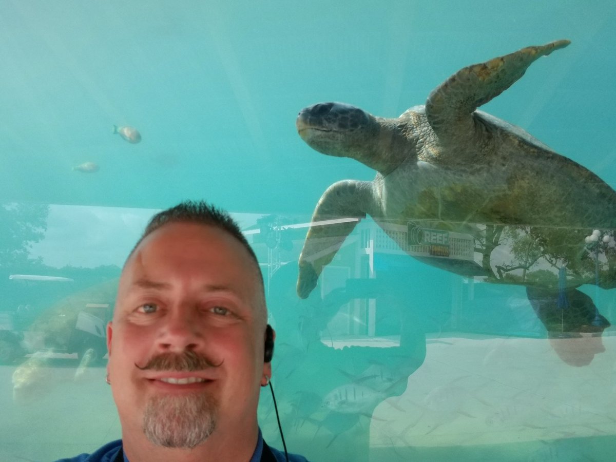 siggins's tweet photo. Getting the park ready to open this morning @SeaWorldTexas and couldn't resist stopping by to say hello to the sea turtles at #TurtleReef...
#SoCool #ParkToPlanet https://t.co/HLhPEKz1ih