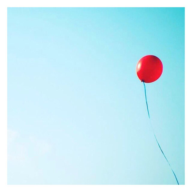 Mini Jake tweet media