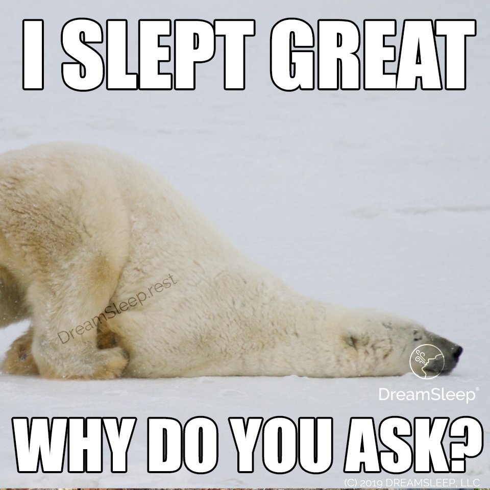 Best CPAP Memes Sleep Yeti