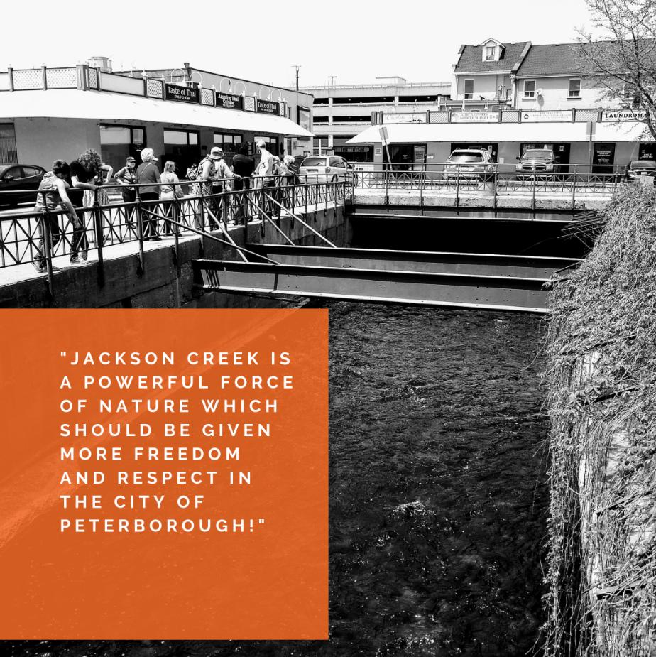 We asked participants (surveymonkey.com/r/MGRMD3T) "What was the most valuable thing you learned on the walk?" One of yesterday's walkers replied "Jackson Creek is a powerful force of nature which should be given more freedom and respect in the city of Peterborough!" Well said.