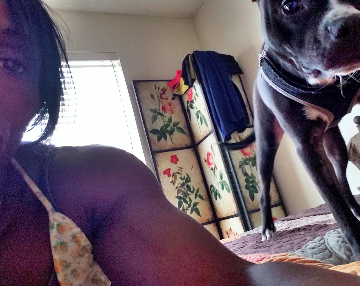 mizztreasure's tweet photo. Back home✔ wrapped up legs✔now chilling trying to take selfies 💋🤣 #femalebodybuilder #femdom #findom #ebonydomme #loyalty #doglover #blackisbeautiful #worship #quads #wantsome #fetish https://t.co/y9fOlQXdRT