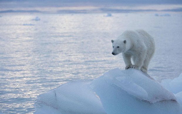 ReliveXena's tweet photo. @RealLucyLawless I'm so glad my university is creating awareness about climate change. They teach us how to fight climate change. I feel like some people still don't realise the impact on the earth. Just hoping more schools will follow. #savetheplanet #savetheearth #greenpeace https://t.co/cXCir9biak