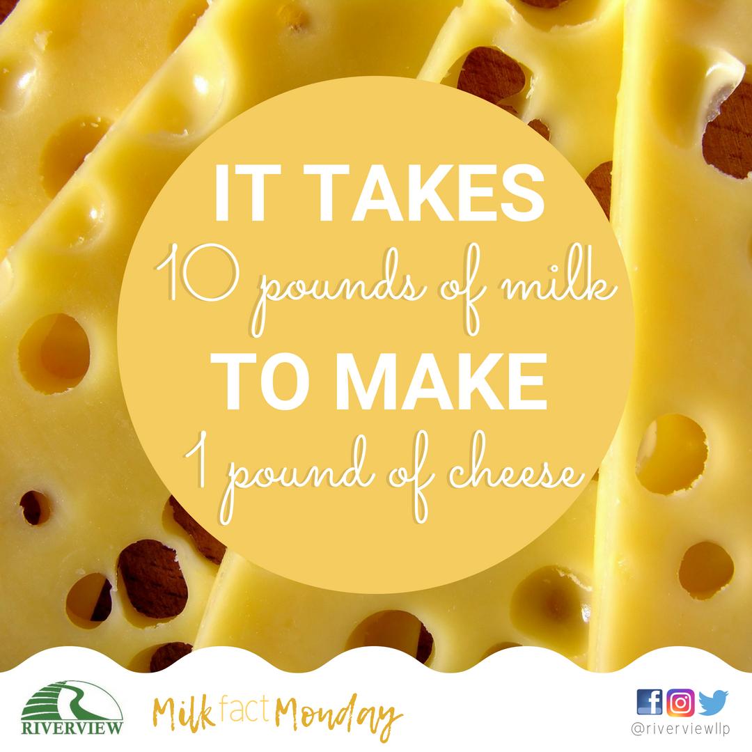 #milkfactmonday
#cheese
#dairyproducts
#cheeseplease