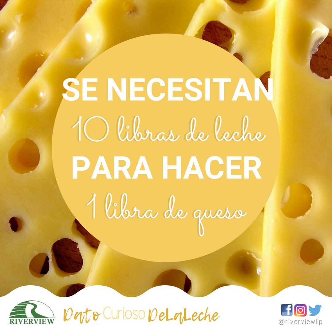 #datocuriosodelaleche
#queso
#productoslácteos
#quesoporfavor