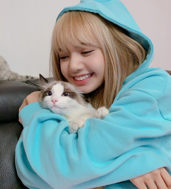 HeyItsMeKei3's tweet photo. Lalisa manoban에 대한 축하와 함께 Instagram에서 2 천만 명의 추종자를 얻을 수있었습니다. 이제 Instagram에서 가장 많은 추종자를 가진 Kpop 아이돌 아티스트가되었습니다.🎉🎉🎊😄😍👌
@ygofficialblink 
#LISA20MPARTY 🎊🎉🎉🤩 https://t.co/Huwjulgnxa