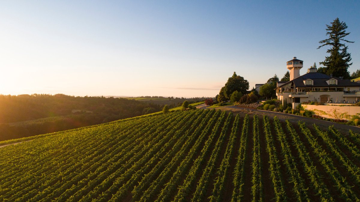 CrushOnOregon's tweet photo. What is everyone's Sunday plan? We know where @WillametteVV will be. You can join them at #CrushonOregon: https://t.co/caRSN2H63D

#PDXevents #wine #winetasting https://t.co/FQP779Iqsi