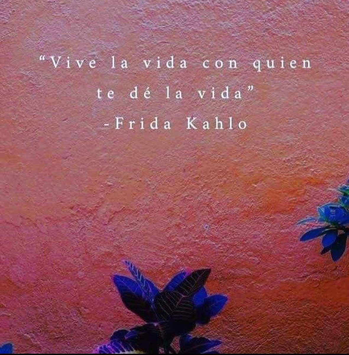psicologia_g's tweet photo. #FridaKahlo https://t.co/haO3XMF9V4