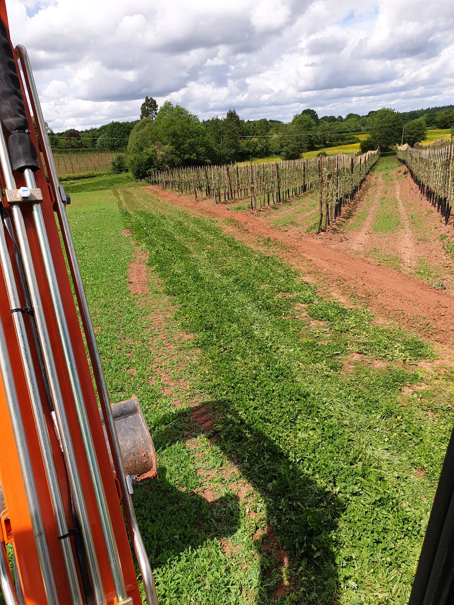 Bank holiday digging,  getting the water to the apples a bit quick in south herefordshire. #Needingrain!